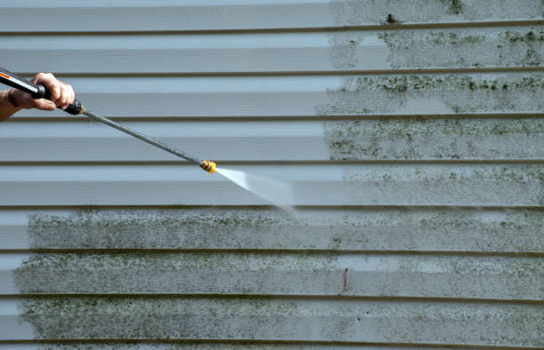Best Affordable Power Washing  in International Falls, MN