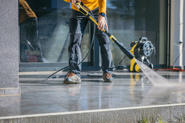 Roof Power Washing Services in International Falls, MN