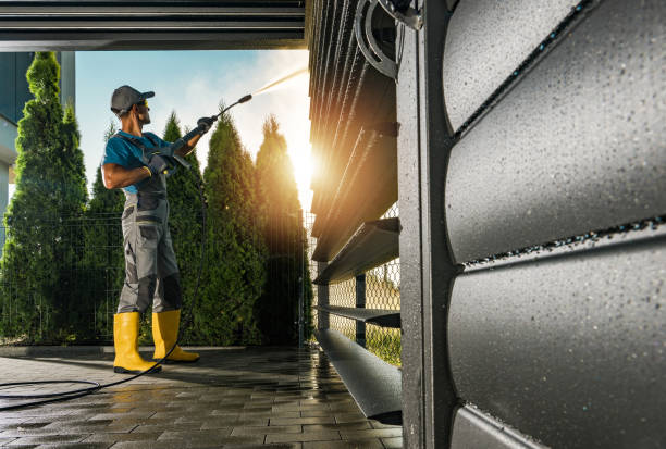 Best Local Pressure Washing Services  in International Falls, MN