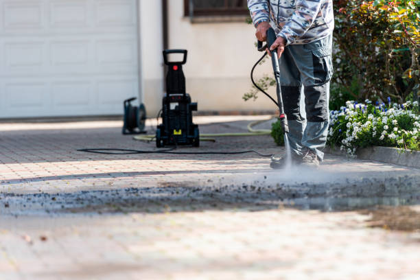 Best Roof Power Washing Services  in International Falls, MN