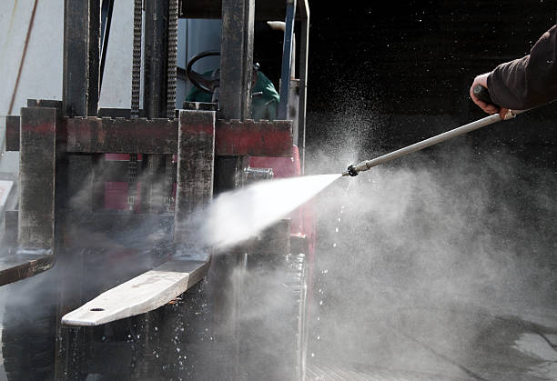 Best Exterior Home Cleaning  in International Falls, MN