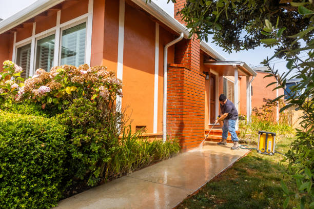 Best Pressure Washing Siding  in International Falls, MN