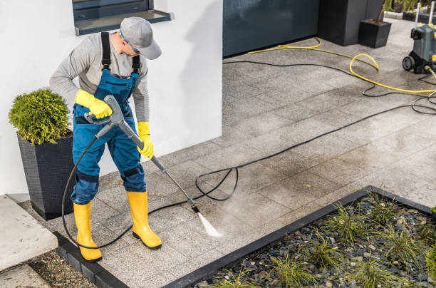 Best Deck Cleaning Services  in International Falls, MN