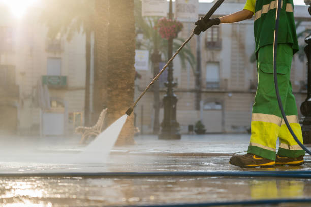 Best Local Pressure Washing Services  in International Falls, MN