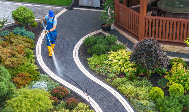 Best Pressure Washing Company Near Me  in International Falls, MN